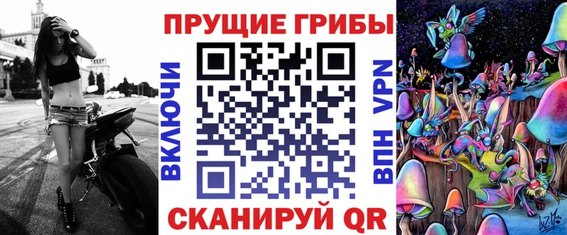 площадка состав  Елабуга  Псилоцибиновые грибы мухоморы 